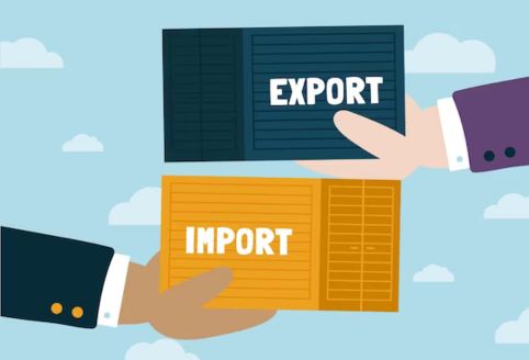 Import – Export Code (IEC)​